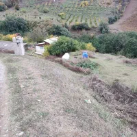 جذب کار آفرین در زمینه کشاورزی و دام وطیور|استخدام صنعتی، فنی، مهندسی|توتکابن, |دیوار