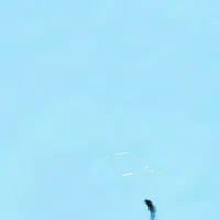 ۰۹۱۲۱۲۵۳۲۴۴