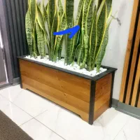 باغبانی|خدمات باغبانی و درختکاری|تهران, زیبادشت|دیوار