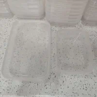 ظرف غذا