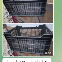 سبد برای پرتغال و نارنگی12تا13کیلو