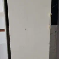 فریزی موتور خارجی اصل