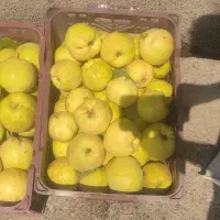 میوه به اصفهان|خوردنی و آشامیدنی|شیراز, لشکری‎|دیوار
