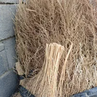 جارو|لوازم نظافت|قروه, |دیوار