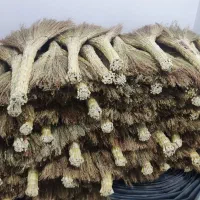 تعدا250جارو|جاروبرقی، جارو شارژی، بخارشو|کلاله, |دیوار