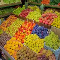 تامین میوه و تره بار