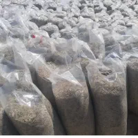 تفاله چغندر