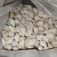 کشک قروت مشکی مخی