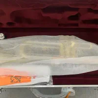 ترومپت سوزوکی با هارد کیس آلومینیومی|سازهای بادی|کرمان, |دیوار