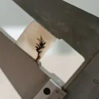 سنگ شجر شجر تک درخت|جواهرات|سلماس, |دیوار