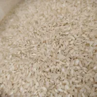 برنج کامفیروزی