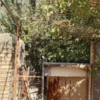 شراکت-مکان-از-من