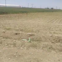 فروش-زمین-کشاورزی-بک-هکتار-همراه-با-آب-سند