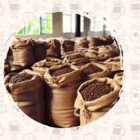 پخش قهوه با کیفیت بالا و قیمت کارخانه