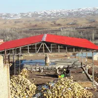 پیمانکاری ساختمان