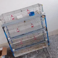 قفس بلدرچین