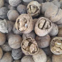 گردو و کشمش