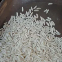 برنج هاشمی تظمینی|خوردنی و آشامیدنی|رشت, آزادگان|دیوار