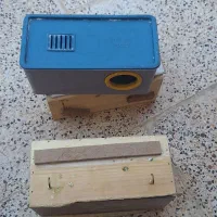 قفس سهره،چال مرغ عشق