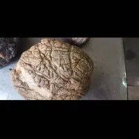 شهاب سنگ|جواهرات|شیروان (خراسان), |دیوار