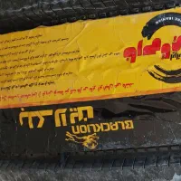 فروش لاستیک