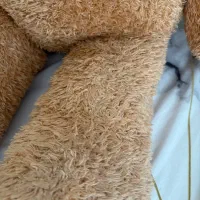 خرس‌ مودب|اسباب‌‌بازی|تهران, زیبادشت|دیوار