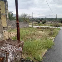 زمین مسکونی درکازرون روستای شیخی سر چهار راه دونبش|فروش زمین و ملک کلنگی|کازرون, |دیوار