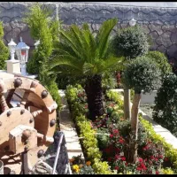 باغبانی گلکاری کاشتی گل باغچه کاری درختکاری|خدمات باغبانی و درختکاری|پردیس, فاز ۲|دیوار