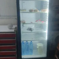 یخچال تک درب