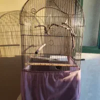 قفس پرنده