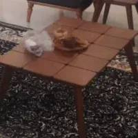 میز و عسلی وانیا