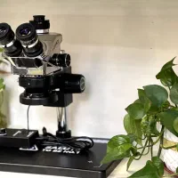تعمیرات انواع گوشی و مشاوره خرید گوشی