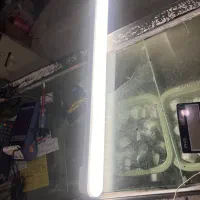 مهتابی پارس نیرو قیمت مفت