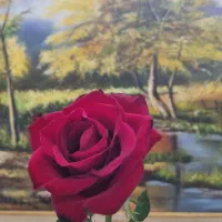 آموزش ۱۰ جلسه ای مکالمه زبان انگلیسی