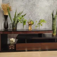 زیر تلویزیون