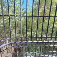 ۵۰۰متر بر ۱۵ جنوبی تک مالک فروشنده واقعی .میرداماد