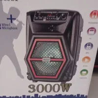 اسپیکر شارژی رم بلوتوث فلش رادیو میکروفن دار