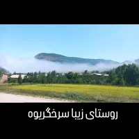 زمین هزارجریب روستای سرخگریوه