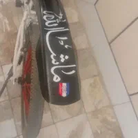 دوچرخه 20|دوچرخه، اسکیت، اسکوتر|الیگودرز, |دیوار