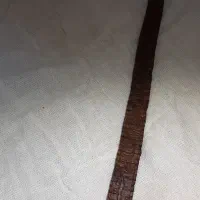 تسبیح هسته خرما