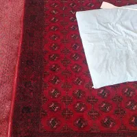 فروش فرش دست بافت پشم|فرش|رضویه, |دیوار