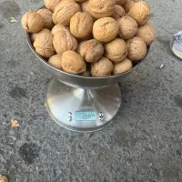 گردو چینی درصد بالا