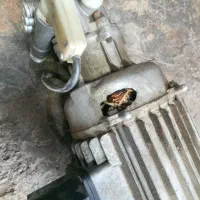 کارواش خانگی|لوازم نظافت|اهواز, کوروش|دیوار