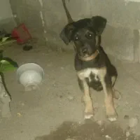 معامله یا فروش