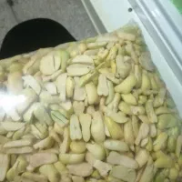 باقالی مخلوط نیشابوری بصورت سبز و زرد قاطی|خوردنی و آشامیدنی|مشهد, نوید|دیوار
