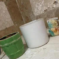 یک عدد استند گل نو. و تعدادی گلدان بزرگ و کوچک|گل و گیاه طبیعی|اصفهان, ملاصدرا|دیوار