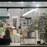 مغازه ۳۰ متری در جماران|فروش مغازه و غرفه|رشت, جماران|دیوار