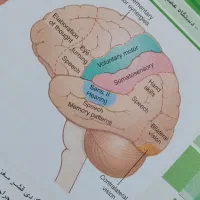 تدریس زیست شناسی جهت آمادگی برای امتحانات تشریحی