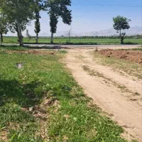 فروش-1854-متر-باغ-سند-تک-برگ-اقبالیه