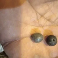 یک جفت مهره گبری|کلکسیون اشیاء عتیقه|شوشتر, |دیوار